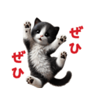【猫】リアクション（個別スタンプ：29）