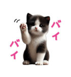 【猫】リアクション（個別スタンプ：31）