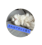 なにわのテンちゃん！（個別スタンプ：3）