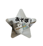 なにわのテンちゃん！（個別スタンプ：4）