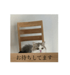 なにわのテンちゃん！（個別スタンプ：5）