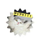 なにわのテンちゃん！（個別スタンプ：8）