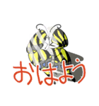 春の季節のちょうちょ（個別スタンプ：1）