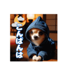 オコジョすたんぷ♡シュリ犬・挨拶スタンプ（個別スタンプ：4）