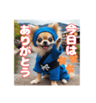 オコジョすたんぷ♡シュリ犬・挨拶スタンプ（個別スタンプ：9）
