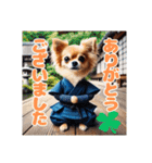 オコジョすたんぷ♡シュリ犬・挨拶スタンプ（個別スタンプ：11）