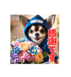 オコジョすたんぷ♡シュリ犬・挨拶スタンプ（個別スタンプ：13）