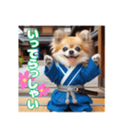 オコジョすたんぷ♡シュリ犬・挨拶スタンプ（個別スタンプ：16）