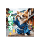 オコジョすたんぷ♡シュリ犬・挨拶スタンプ（個別スタンプ：22）