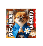 オコジョすたんぷ♡シュリ犬・挨拶スタンプ（個別スタンプ：25）