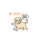 子犬の英語教師（個別スタンプ：2）