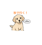 子犬の英語教師（個別スタンプ：4）