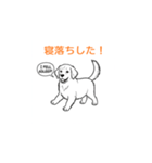子犬の英語教師（個別スタンプ：5）