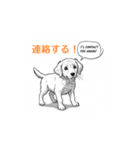 子犬の英語教師（個別スタンプ：6）