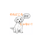 子犬の英語教師（個別スタンプ：8）