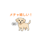 子犬の英語教師（個別スタンプ：9）