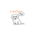子犬の英語教師（個別スタンプ：10）