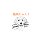 子犬の英語教師（個別スタンプ：12）