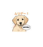 子犬の英語教師（個別スタンプ：13）