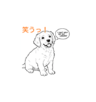子犬の英語教師（個別スタンプ：14）