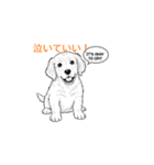 子犬の英語教師（個別スタンプ：15）