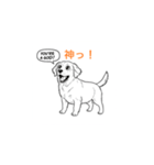 子犬の英語教師（個別スタンプ：16）