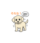 子犬の英語教師（個別スタンプ：17）