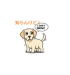 子犬の英語教師（個別スタンプ：18）
