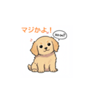 子犬の英語教師（個別スタンプ：20）