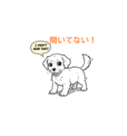 子犬の英語教師（個別スタンプ：22）