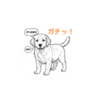 子犬の英語教師（個別スタンプ：23）