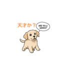 子犬の英語教師（個別スタンプ：24）