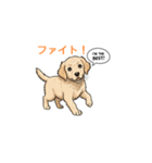 子犬の英語教師（個別スタンプ：25）