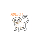 子犬の英語教師（個別スタンプ：27）