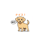 子犬の英語教師（個別スタンプ：28）