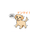子犬の英語教師（個別スタンプ：30）