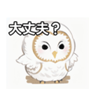 走るメンフクロウミーム（個別スタンプ：16）