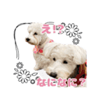 ルンルン♪①（個別スタンプ：3）