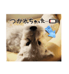 ルンルン♪①（個別スタンプ：4）