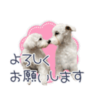 ルンルン♪①（個別スタンプ：7）