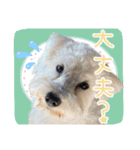 ルンルン♪①（個別スタンプ：8）