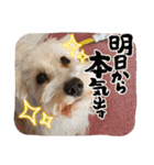 ルンルン♪①（個別スタンプ：9）