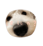 ルンルン♪①（個別スタンプ：10）