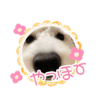 ルンルン♪①（個別スタンプ：11）