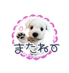 ルンルン♪①（個別スタンプ：12）