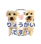 ルンルン♪①（個別スタンプ：13）
