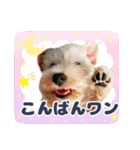 ルンルン♪①（個別スタンプ：14）