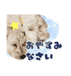 ルンルン♪①（個別スタンプ：15）