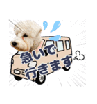 ルンルン♪①（個別スタンプ：16）