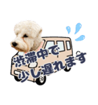ルンルン♪①（個別スタンプ：17）